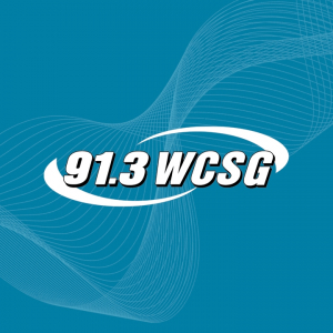 91.3 WCSG