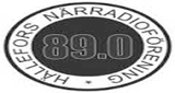 Radio Hallefors