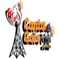 Rádio Canta Galo FM