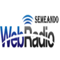 Web Rádio Semeando