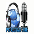 Ipuic al 100 Radio Online