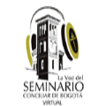 La Voz del Seminario Virtual