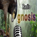 Radio Gnosis