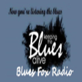 Blues Fox Radio