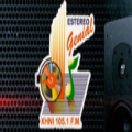 Estereo Genial 105.1 FM