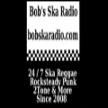 Bob's SKA Radio