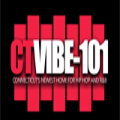 CT VIBE-101 Radio