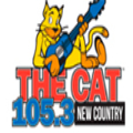 105.3 The Cat