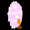 The Sunshine Pop Connection 2