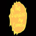 The Sunshine Pop Connection