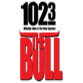 102.3 The Bull