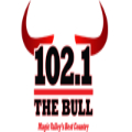 102.1 The Bull