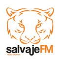 Salvaje 100.4 FM